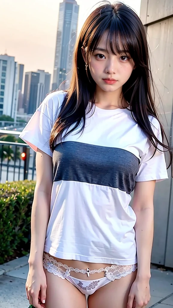 (8k、raw、professional、best quality、masterpiece:1.2)、(really、realistic:1.37)、very detailed、(18 years old)、pleated skirt, (Highest Detail Skin:1.2)、(Highest detail face:1.2)、1 woman、18 years old、black hair、long hair、High 、cute t shirts、Raise your t-shirt to show your bra, revealing white lace panties、Sunset sky、You can see the cityscape at dusk from afar.、golden hour, shy expression