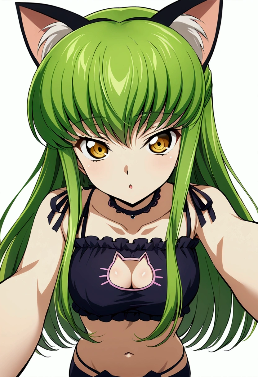 score_9, score_8_up, score_7_up,best quality,masterpiece,aesthetic,very aesthetic,anime style ,1girl, c.c., code geass,green hair, long hair,medium breasts:1.2, yellow eyes,(cat lingerie:1.3) ,cat cutout,cat lingerie bottom,navel,upperbody,from above,above pose,straight-on,selfie,  simplebackground,(whitebackground)