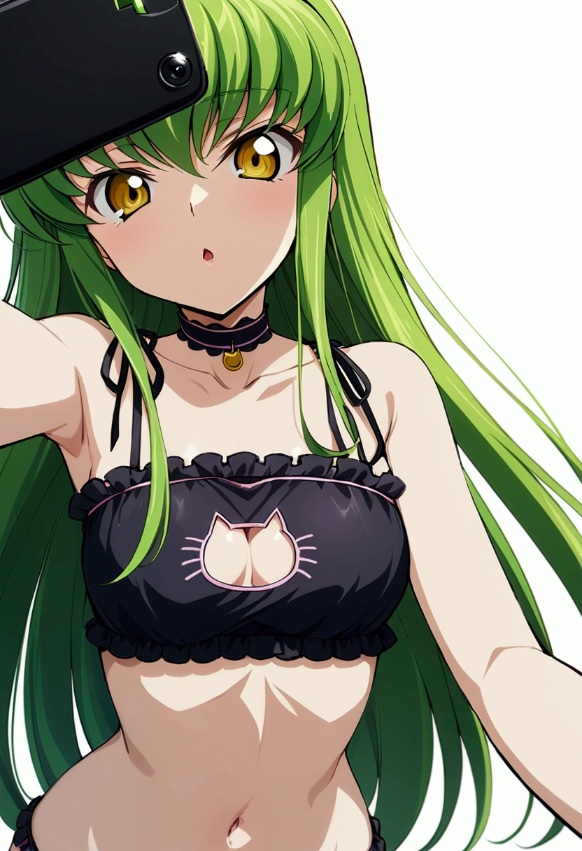 score_9, score_8_up, score_7_up,best quality,masterpiece,aesthetic,very aesthetic,anime style ,1girl, c.c., code geass,green hair, long hair,medium breasts:1.2, yellow eyes,(cat lingerie:1.3) ,cat cutout,cat lingerie bottom,navel,upperbody,,,straight-on,selfie, simplebackground,(whitebackground)