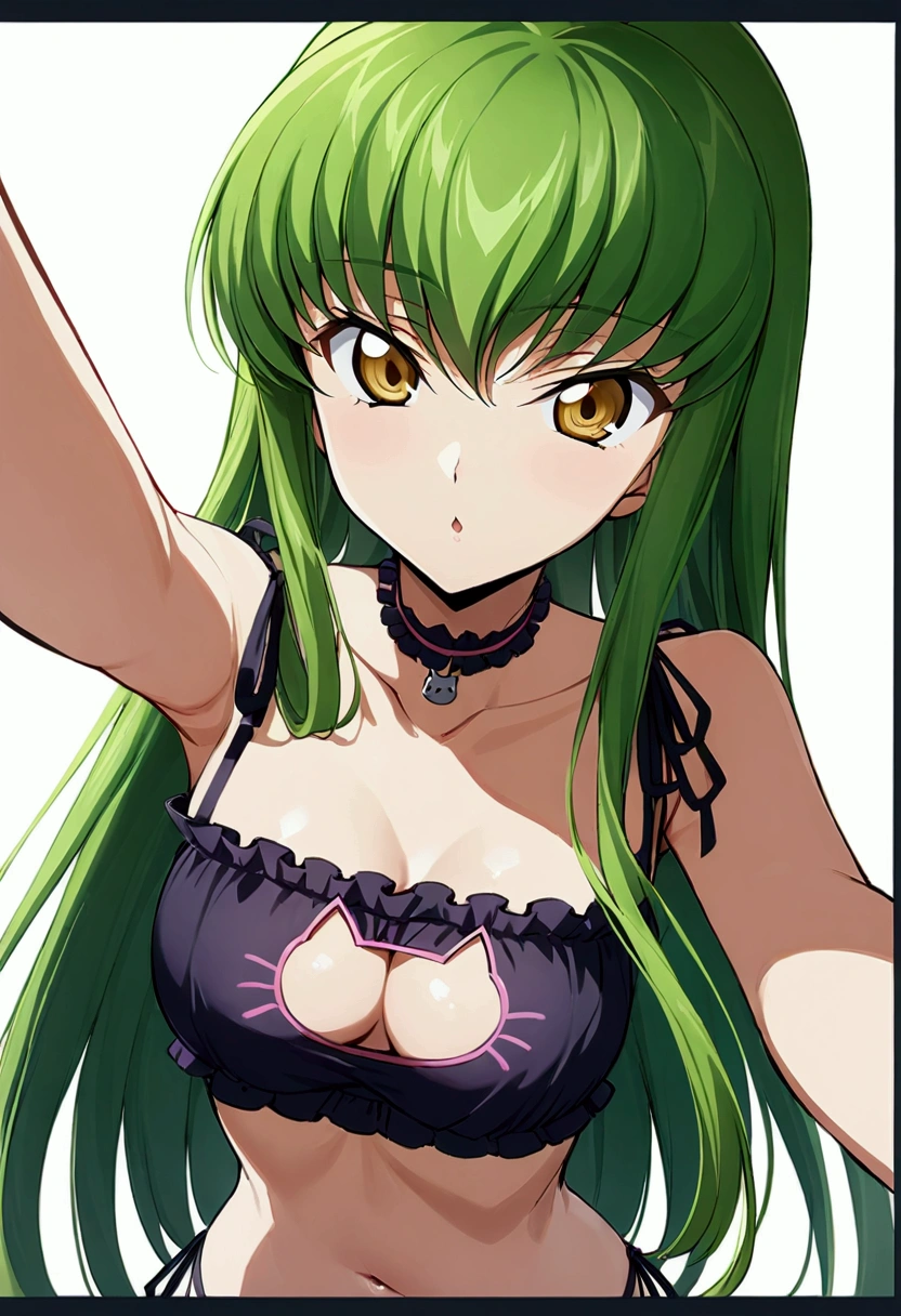 score_9, score_8_up, score_7_up,best quality,masterpiece,aesthetic,very aesthetic,anime style ,1girl, c.c., code geass,green hair, long hair,medium breasts:1.2, yellow eyes,(cat lingerie:1.3) ,cat cutout,cat lingerie bottom,navel,upperbody,,,straight-on,selfie, simplebackground,(whitebackground)