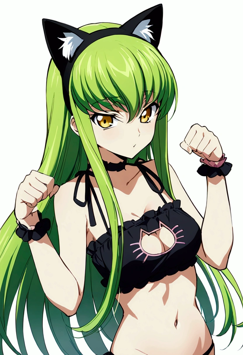 score_9, score_8_up, score_7_up,best quality,masterpiece,aesthetic,very aesthetic,anime style ,1girl, c.c., code geass,green hair, long hair,medium breasts:1.2, yellow eyes,(cat lingerie:1.3) ,cat cutout,cat lingerie bottom,navel,cowboyshot,,,straight-on,paw pose, simplebackground,(whitebackground)