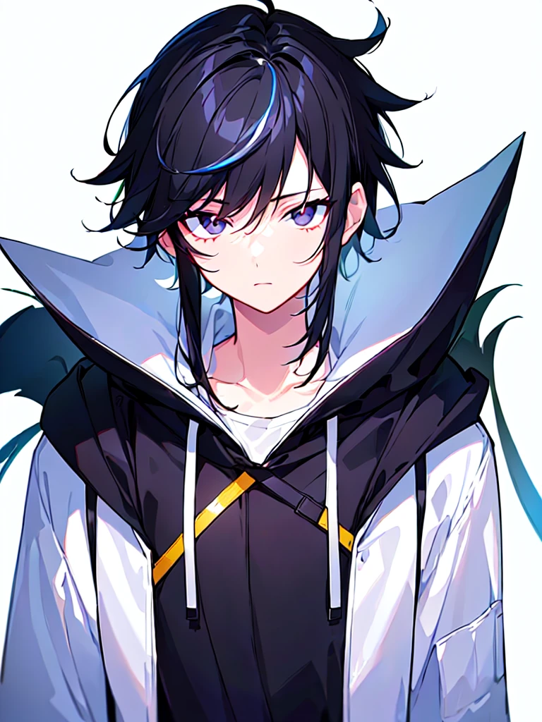 [(WHITE BACKGROUND:1.5),::5], ((((masterpiece)))), high quality, ultra very high resolution, full color, (((solo))), ((little boy)), Black hair, ((White streaked hair)), (Black eyes), anime, ((upper body)), black parka, 