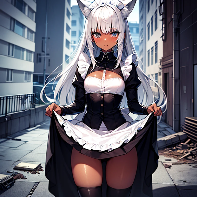 (Fox Girl, Fox Ears, Silver Hair, Fox Makeup, One Girl, Long Hair, Alone on the screen, dark skin, High definition, high resolution:1.6), (maid apron, Black and white clothes, skirt, Mechanical suit for legs:1.8), (Body measurements are 75-60-75!, Young girl body, Small breasts, skirt hold, slender, muscle:1.9), Avatar, face, 色っぽいface, Dominant representation, naughty face, Uplifting, Skin Texture, outside, ruins, Ruined City, Broken Building, There are no people