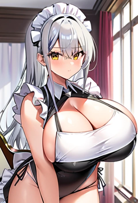 Maid,Swimwear,,Super Breasts,Silr,Gibson Tuck