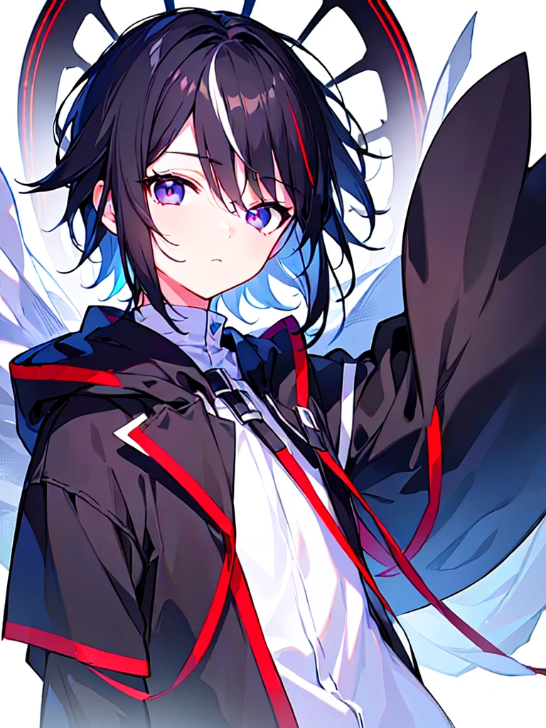 [(WHITE BACKGROUND:1.5),::5], ((((masterpiece)))), high quality, ultra very high resolution, full color, (((solo))), (()), Black hair, ((White streaked hair)), (Black eyes), anime, ((upper body)), black parka, 