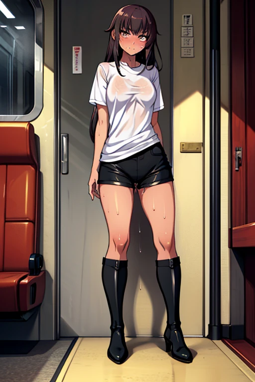 Inside the bus,on the bus seat,Adult women、Gal、Bad look in the eyes、,Long black hair,Wet Hair、dissatisfaction,Sulky,Completely naked,T-Shirts、short boots、blush、Rape in standing back、Creampie.Urinating、Sweat、Sperm on it