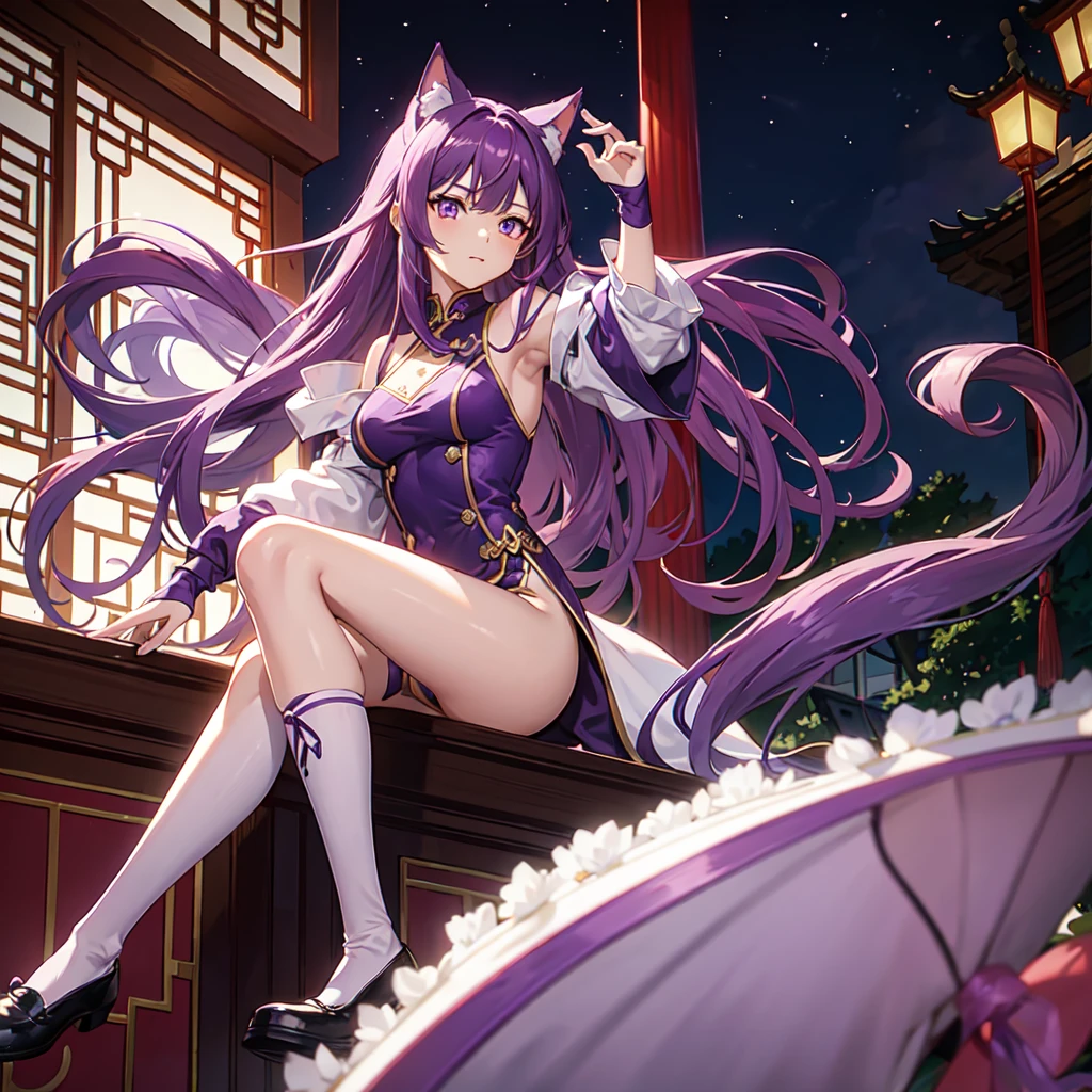 1 , purple long hair with cat-ear design, red-violet eyes, chinese styled purple dress, brown whole-leg socks, purple pointed shoes, purple gloves, carrying a white cat, sitting outside a chinese styled house, high res, ultrasharp, 8k, masterpiece