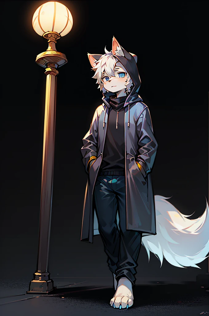 All staff side，walk，Anime style，Dark scene，Large background light source，five characters，The first one：hairy，，Young Style，Handsome，Bright Eyes，Male wolf，Dark blue hair，White hair on the face，Blue Eyes ，Yellow ear hair，Yellow hair around eyes，Tail blue and white，Gray blue coat，Casual shorts，With a hood，Height 1.6 meters，Calm。The second：hairy，15 years old，Lovely，Male cats，White eyes，Blonde hair，White hair on face，Yellow and white tail，Grey short-sleeved shorts，casual-style，Height 1.6 meters，Wearing a cape，optimistic。The third：Furry Anthropomorphic，Deep eyes，16 years old，Handsome，Ma-black hair，Big gray tail，Wrapped in a black scarf，Wearing a grey coat，Hands in pockets，trousers，Height 1.7 meters，mysterious，Calm。The fourth：Furry Anthropomorphic，Bright Eyes，15 years old，Lovely，Male cats，White r，White eyes，Height 1.6 meters，There are several black tree-like lines on the face，Blue windbreaker and shorts，The tail is slightly pale white，Calm。Fifth：Male yellowish white fur, 17 years old，blue eyes, White hair (long), Wearits and boxer shorts, Casual Clothing, Young Style, Height 1.7 meters, Handsome, Has a tail，Bright Eyes。