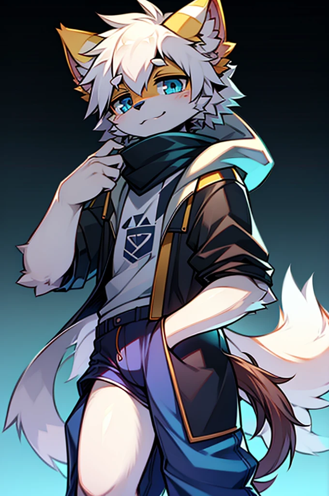 All staff side，walk，Anime style，Dark scene，Large background light source，five characters，The first one：hairy，13 years old，Young style，Handsome，Bright Eyes，Male wolf，Dark blue hair，White hair on the face，Blue Eyes ，Ear hair，Eye hair，Tail blue and white，Gray blue coat，Casual shorts，With a hood，Height 1.6 meters，Calm。The second：hairy，************，Bright Eyes，Lovely，Male cats，White eyes，Blonde hair，White hair on face，Yellow and white tail，Grey short-sleeved shorts，casual-style，Height 1.6 meters，Wearing a cape，optimistic。The third：Furry Anthropomorphic，Deep eyes，************，Handsome，Male wolf，Gray-black hair，Big gray tail，Wrapped in a black scarf，Wearing a grey coat，Hands in pockets，trousers，Height 1.7 meters，mysterious，Calm。The fourth：Furry Anthropomorphic，Bright Eyes，************，Lovely，Male cats，White hair all over，White eyes，Height 1.6 meters，There are several black tree-like lines on the face，Blue windbreaker and shorts，The tail is slightly pale white，Calm。Fifth：Male yellowish white fur, ************，blue eyes, White hair (long), Wearing blue shorts and boxer shorts, Casual Clothing, Young Style, Height 1.7 meters, Handsome, Has a tail，Bright Eyes。