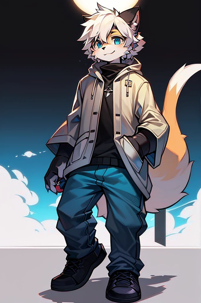 All staff side，walk，Anime style，Dark scene，Large background light source，five characters，The first one：hairy，13 years old，Young style，Handsome，Bright Eyes，Male wolf，Dark blue hair，White hair on the face，Blue Eyes ，Ear hair，Eye hair，Tail blue and white，Gray blue coat，Casual shorts，With a hood，Height 1.6 meters，Calm。The second：hairy，14 years old，Bright Eyes，Lovely，Male cats，White eyes，Blonde hair，White hair on face，Yellow and white tail，Grey short-sleeved shorts，casual-style，Height 1.6 meters，Wearing a cape，optimistic。The third：Furry Anthropomorphic，Deep eyes，14 years old，Handsome，Male wolf，Gray-black hair，Big gray tail，Wrapped in a black scarf，Wearing a grey coat，Hands in pockets，trousers，Height 1.7 meters，mysterious，Calm。The fourth：Furry Anthropomorphic，Bright Eyes，14 years old，Lovely，Male cats，White hair all over，White eyes，Height 1.6 meters，There are several black tree-like lines on the face，Blue windbreaker and shorts，The tail is slightly pale white，Calm。Fifth：Male yellowish white fur, 16 years old，blue eyes, White hair (long), Wearing blue shorts and boxer shorts, Casual Clothing, Young Style, Height 1.7 meters, Handsome, Has a tail，Bright Eyes。