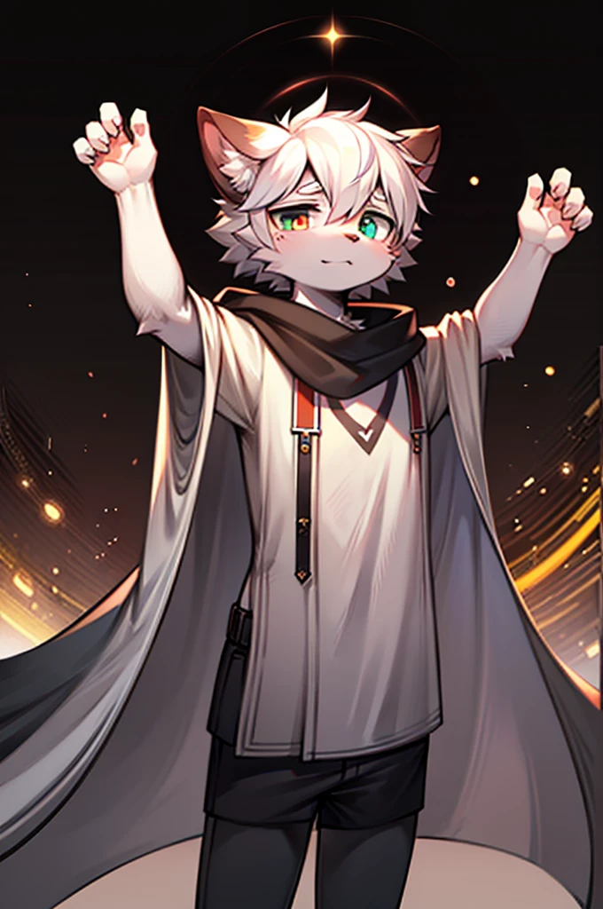 Very empty background,The background is a black hole,Background occupies the main part of the picture,Male cats,White hair all over,Cloak,Cold eyes,Poker face,Heterochromia,hairy,Black tree-like marks on the face,White coat,Grey shorts,Open hands,Holding a strange rune,12 years old style