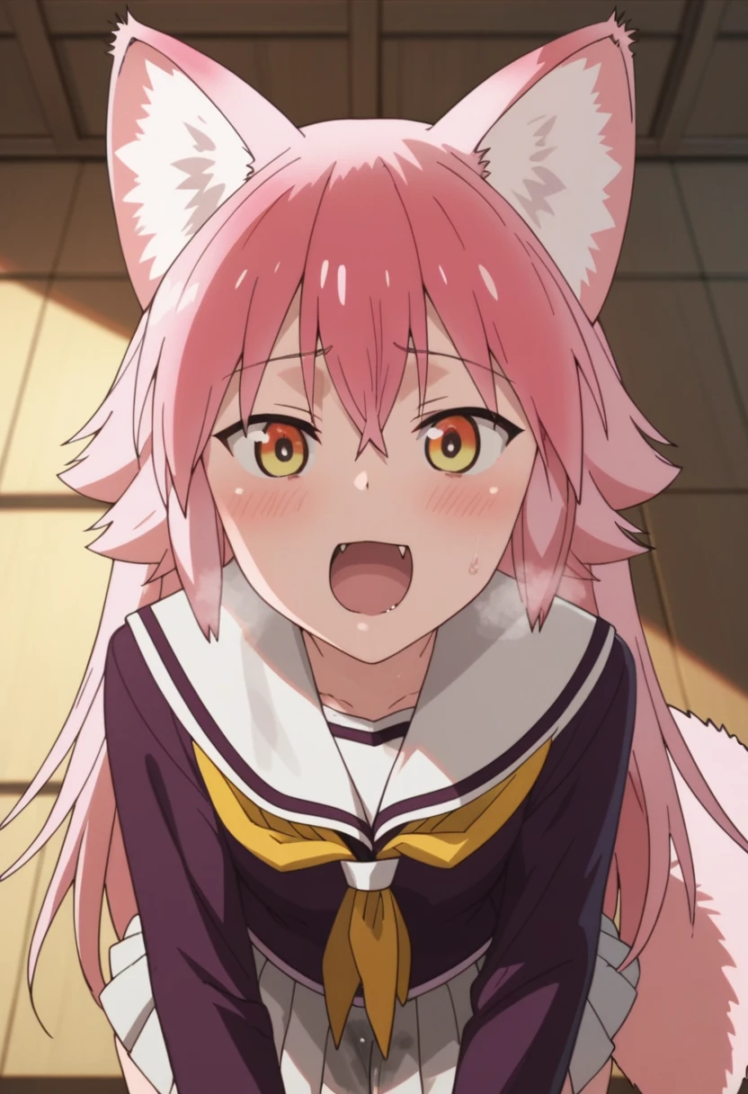 anime acreencap, ranka, 1girl, animal ears, wolf girl, wolf ears, wolf tail, tail, pink hair, skirt, long hair, animal ear fluff, serafuku, pleated skirt, neckerchief, anime style, penis licking, saliva, saliva string, saliva on penis