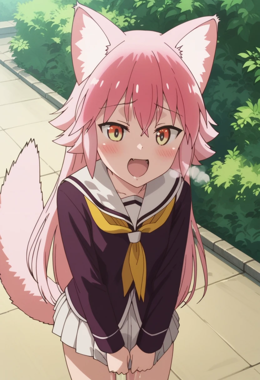 Score_9, Score_8_up, Score_7_up, Score_6_up, Score_5_up, Score_4_up, source_anime, 1girl, anime style, anime screencap, ranka, 1girl, animal ears, wolf girl, wolf ears, wolf tail, tail, , pink hair, skirt, long hair, animal ear fluff, serafuku, pleated skirt, neckerchief, pussy juice, cute, excited, horny, heavy breathing, close up, crotch focus