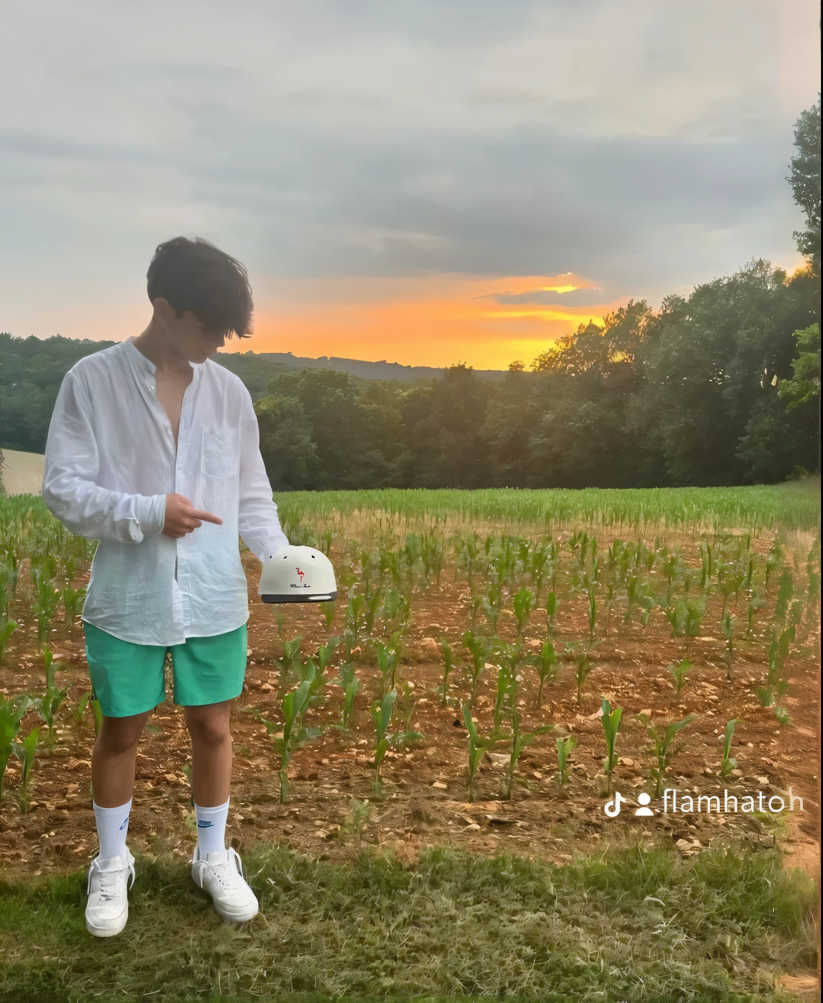 Adds a plane passing above and a tractor to the right