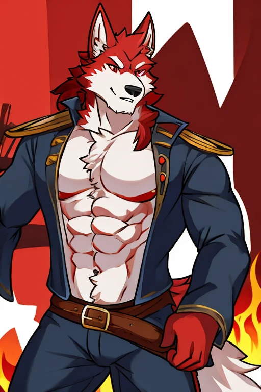 Wolf with red fur and white fur, pirate, muscular, with red tail