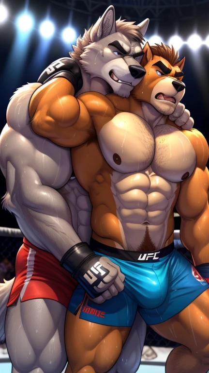 Duo male(Gray Wolf vs Brown Dog, handsomes, handsome hairstyle, tails, Thick eyebrows), gay(cuddling embraced from behind, holding neck tightly, in a UFC match), hot(Shirtless), handsomes(They are handsomes, correct anatomy), musculosos(Big muscle bodies, Six packs, muscle abs, big pecs, muscle backs, muscle legs), sweaty(very sweaty wet bodies, shiny sweat), tatuajes(they have tattoos), Grumpy(Both have an grumpy expression, growling, grumpy teeths, steaming breath), UFC gloves(They both are wearing UFC gloves), boxers(they both are wearing ufc boxers), Hight resolution, by(Zourik:1.1)