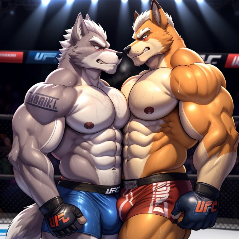 Duo male(Fox Mcloud vs Wolf O'donnell, handsomes, Thick eyebrows), gay(Stomped, embraced, cuddling, hot abs frottage, face to face, on a UFC match), hot(Shirtless), handsomes(They are handsomes, correct anatomy), musculosos(Big muscle bodies, Six packs, muscle abs, big pecs, muscle backs, muscle legs), sweaty(very sweaty wet bodies, shiny sweat), tatuajes(they have tattoos), Grumpy(Both have an grumpy expression, growling, grumpy teeths, steaming breath), UFC gloves(They both are wearing UFC gloves), UFC boxers(They both are wearing UFC boxers), Hight resolution, by(Zourik:1.1) 