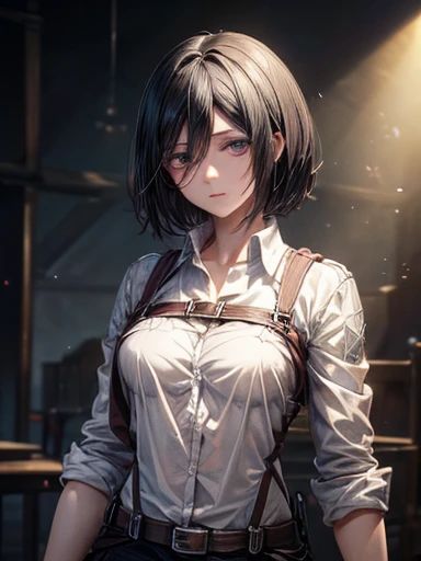 ((Highest quality))、((masterpiece))、(detailed)、((Anatomically correct))、(High resolution、8k)、One Woman、(Mikasa Ackerman)、cowboy shot、(Beautiful Skin:1.1)、bangs、Short Hair、Black Hair、(Beautiful eyes:1.2)、Double eyelids、Cinema Lighting