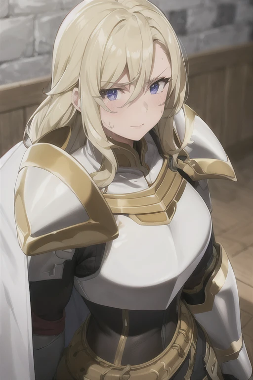 1female_knight, upper body, armor, long hair, highly detailed face, facing the viewer, looking at the viewer, aroused facial expression, blush, sweat, best quality, breastplate, cape, shoulder armor, blurry background