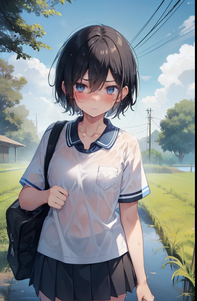 girl,high school girl,boyish,Black Hair,Bag,Very Short Hair,Summer uniform,mini skirt,Sweaty,Wet,Troubled face,blush,blue eyes,countryside,Paddy field,Serious face,sun,Close ~ eyes