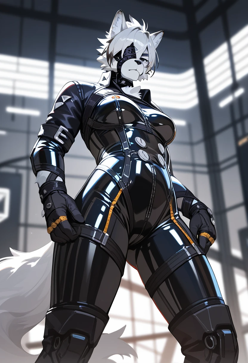 Highest quality, Highest quality, High quality illustrations, masterpiece, Ultra-high resolution, Detailed Background, Absurd, Perfect Anatomy, performance, Good lighting, room, cyber punk, Shadows in the movies(kemono, Furry Personifi猫ion), by lycaon, Wolf, Rubber Suit, latex, Harness, Eyepatch on right eye, Dynamic Angle