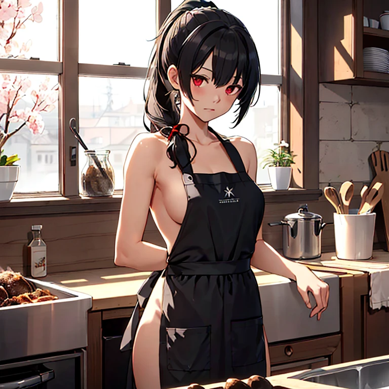 isokaze_kantaicollection,black_hair, long_hair, red_eyes,ponytail,(masterpiece:1.4), (best quality:1.4), (high quality:1.4), (detailed:1.4), (ultra detailed:1.4),(hyper detailed:1.4),(insanely detailed:1.4), (exquisite:1.4),(beautiful:1.4), art CG,8K,
,full body,1girl,solo,
(naked apron:1.3),kitchen,burnt rice,frown