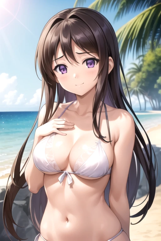 Sunlight, beach, Bikini, Marinette Akizuki, Hamana Akizuki, Long hair, Brown hair, (Purple Eyes:1.1), rest looking at viewer, rest indoors, rest (masterpiece:1.2), best quality, high resolution, Unity 8K wallpaper, (illustration:0.8), (Beautiful and delicate eyes:1.6), Extremely detailed face, Perfect lighting, Extremely detailed CG, (Perfect hands, Perfect anatomical structure),Smooth skin, Smile, Happy，Slim,(beautiful,Chest:1.3), whole body