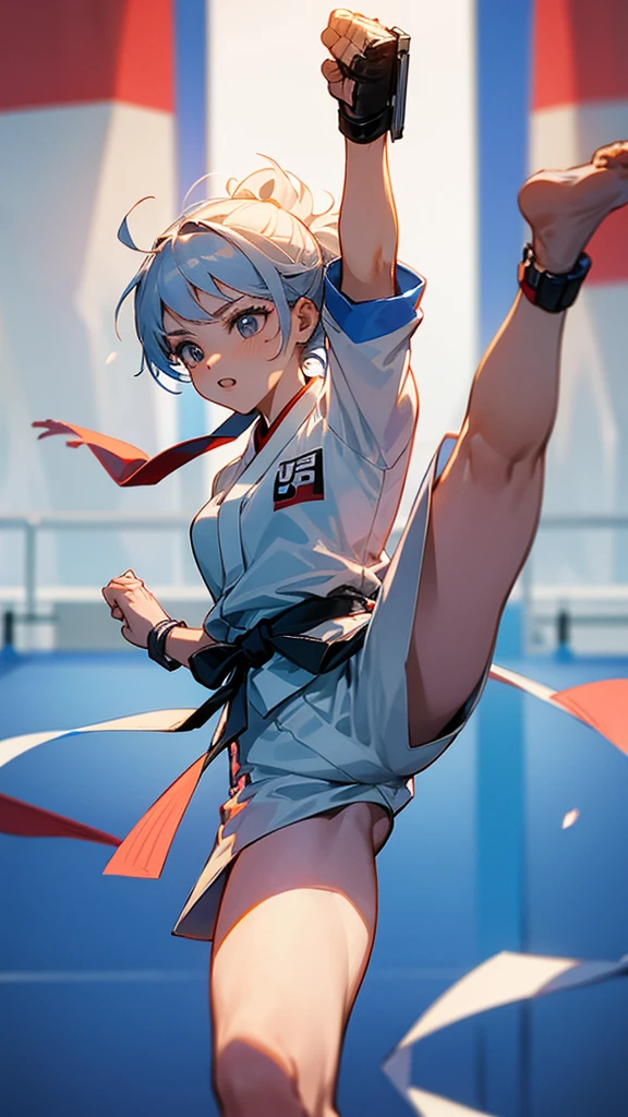 Taekwondo competition at the Olympics。