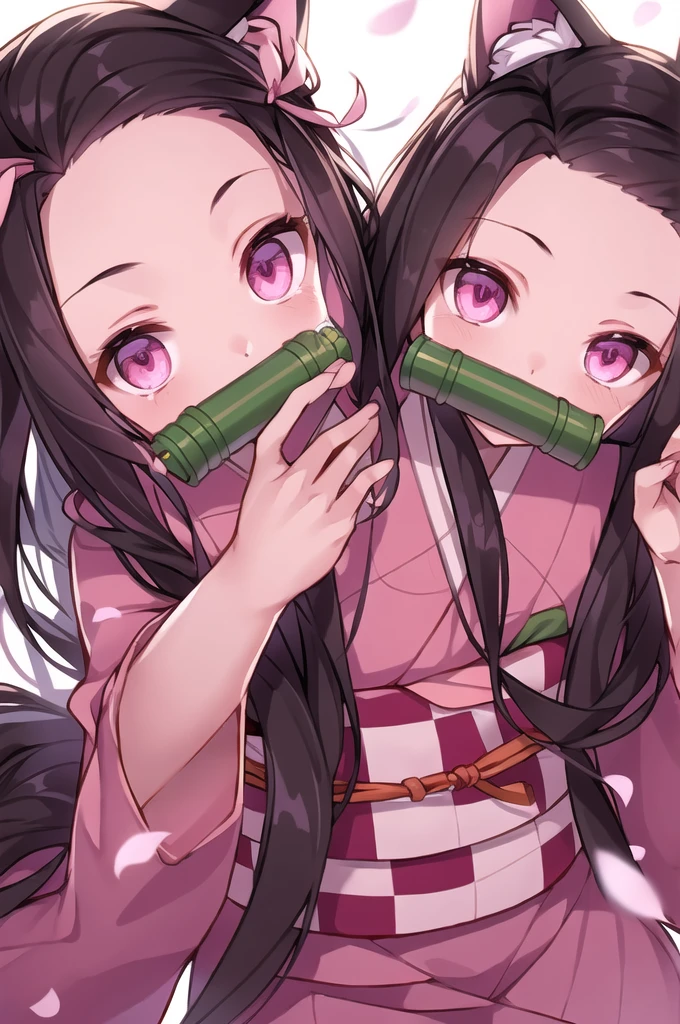 1girl, animal ear fluff, animal ears, bamboo, bit gag, blush, brown hair, cat ears, checkered, checkered obi, claw pose, fingernails, forehead, gag, gagged, hair ribbon, japanese clothes, kamado nezuko, kimono, long hair, looking at viewer, mouth hold, multicolored hair, obi, petals, pink eyes, pink kimono, pink ribbon, ribbon, sash, sharp fingernails, solo, very long hair, wide sleeves