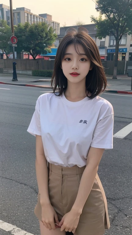 1 Girl,roadside,Soft Light,Chinese Beauty,Short sleeve,Short skirt,Dark-haired