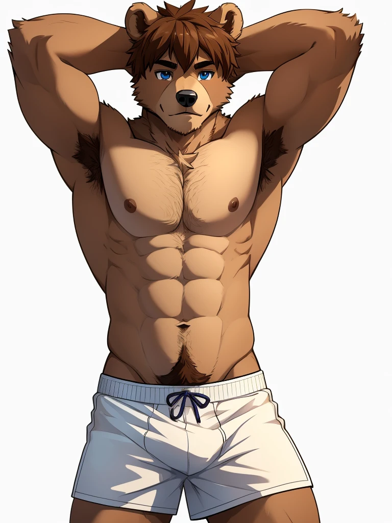 (masterpiece, 4K, ultra detailed), bear furry, masculine, brown fur, beige belly fur, short messy haircut, shirtless, white background, single, illustration, simple colors, brown pubic hair, hairy armpits, athletic, lean, eight-pack, age, teenue eyes, white boxers, anime