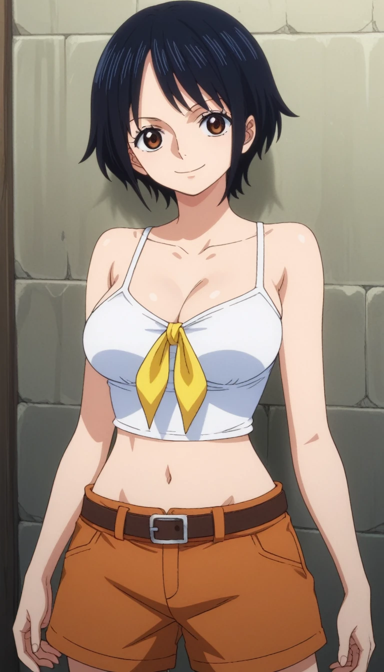 score_9, score_8_up, score_7_up, best quality, masterpiece, source_anime, anime screencap, one_piece_wano_style, clear face, 1girl, solo, black hair, short hair, white tube crop top, brown eyes, large breasts, shorts shorts, bare shohulders, Sesión, collarbone, belt, brown shorts, camisa, yellow footwear, navel,calzas grices, yellow neckerchief, outdoor, smile, looking at viewer, upper body, 