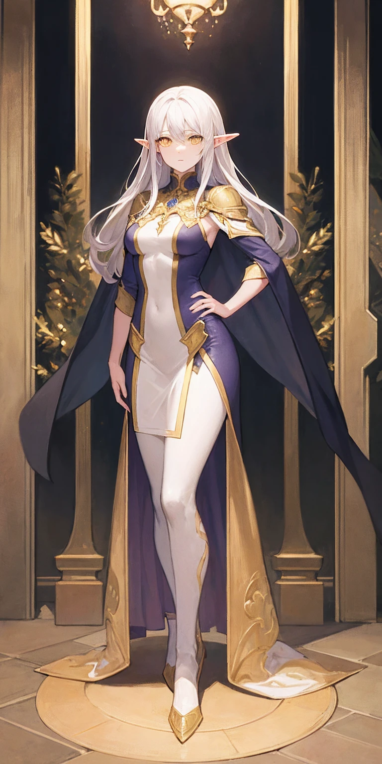 masterpiece, best quality, high quality, elf, long hair, pale hair, yellow eyes, purple skin, deep blue cape with golden ornaments (1solofemale full body standing straight symmetrical, hands on hips) slave with stocks