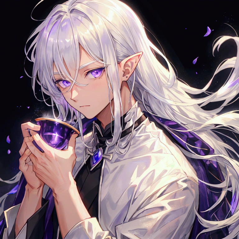 A man with silver hair that reaches his shoulders, with detailed purple eyes and elf ears
