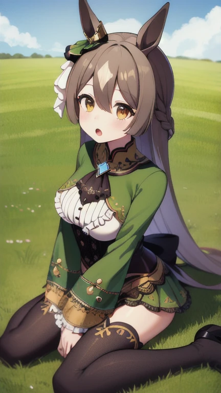 masterpiece, best quality, highres, aasato, long hair, half updo, braid, hair between eyes, animal ears, ear ornament, horse tail, breasts, frills, black ascot, green dress, (sleeves past wrists:1.2), black thighhighs, outdoors, field, wariza, sitting, on floor, :o