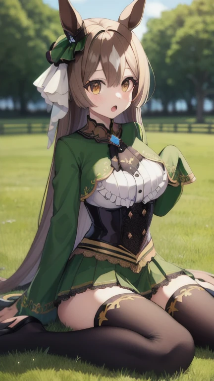 masterpiece, best quality, highres, aasato, long hair, half updo, braid, hair between eyes, animal ears, ear ornament, horse tail, breasts, frills, black ascot, green dress, (sleeves past wrists:1.2), black thighhighs, outdoors, field, wariza, sitting, on floor, :o