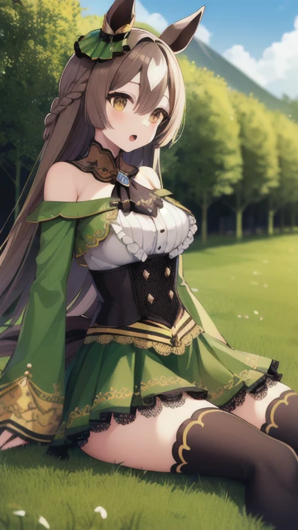 masterpiece, best quality, highres, aasato, long hair, half updo, braid, hair between eyes, animal ears, ear ornament, horse tail, breasts, frills, black ascot, green dress, (sleeves past wrists:1.2), black thighhighs, outdoors, field, wariza, sitting, on floor, :o