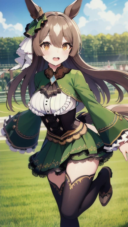 masterpiece, best quality, highres, aasato, long hair, half updo, braid, hair between eyes, animal ears, ear ornament, horse tail, breasts, frills, black ascot, green dress, (sleeves past wrists:1.2), black thighhighs, field, grass, (running:1.1), smile, open mouth, sweat, audience,