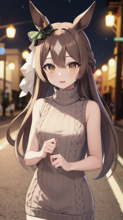 masterpiece, best quality, highres, aasato, long hair, half updo, braid, hair between eyes, animal ears, ear ornament, sweater dress, turtleneck, sleeveless, night, street, cowboy shot,