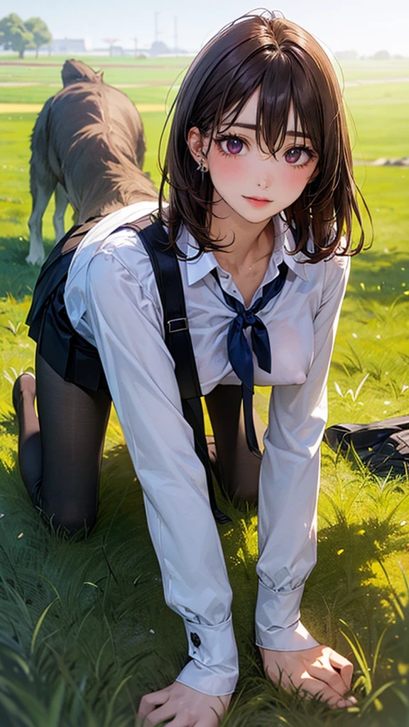 (masterpiece:1.2, top-quality), (realistic, photorealistic:1.4), beautiful illustration, (natural side lighting, movie lighting),
looking at viewer, 1 woman, japanese, 22 years old, high school teacher, perfect face, cute and symmetrical face, shiny skin, babyface,
(short hair, straight hair, dark brown hair), hair between eyes, dark purple eyes, (middle breasts, seductive thighs, big ass), piercings,
beautiful hair, beautiful face, beautiful detailed eyes, beautiful clavicle, beautiful body, beautiful chest, beautiful thigh, beautiful legs, beautiful fingers,
((navy tight skirt, white collared shirt), open shirt, black pantyhose), purple neck ribbon, ,
(beautiful scenery)(A woman is on all fours in a grassy field. A woman is carrying a large dog on her back.) A complete body. Perfect hands and legs.
Her face, bright red, flush and shy.
Her large breasts and nipples are standing out, even through the top of her shirt. (The skirt is shorter than normal, but even shorter, so short that you can almost see her panties.)The girl has brown hair.
(The skirt is extremely short.) The girl's hair is brown.
(Very short skirt).
(Very short skirt).
She is wearing a very short skirt.