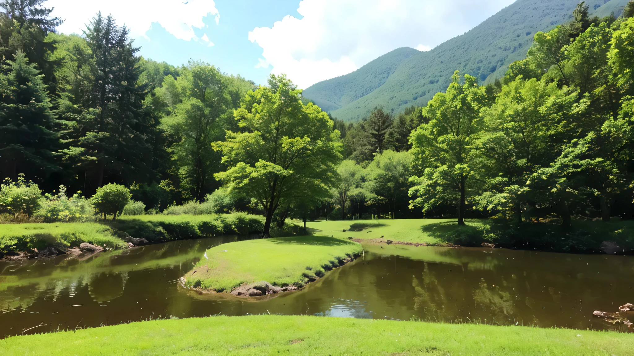 beautiful nature