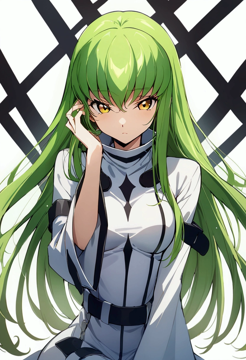 score_9, score_8_up, score_7_up,best quality,masterpiece,aesthetic,very aesthetic,anime style ,1girl, c.c., code geass,green hair, long hair,medium breasts, yellow eyes,  straight hair,
straitjacket, white straitjacket, wide sleeves,,upperbody,sitting,,straight-on ,  simplebackground,(whitebackground)、hand in own hair