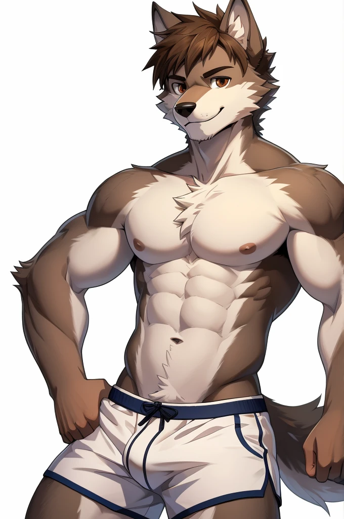 (masterpiece, 4K, ultra detailed), wolf furry, masculine, brown and grey fur, white belly fur, athletic, shirtless, illustration, simple colors, white background, handsome, soft smile, single, short messy haircut, pubic hair, white boxers, anime, brown eyes, teenage