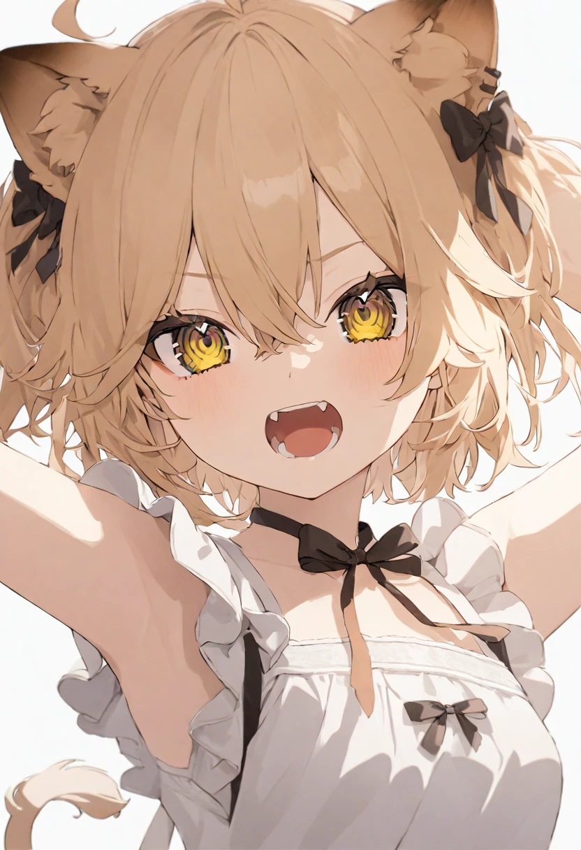 (muste piece), (best quality), (score_9, score_8_up, score_7_up), very detailed eyes, expressive eyes, perfect face, very detailed face, highly detailed face, beautiful girl, 8K, beautiful girl, white background, delicate and beautiful face and eyes, dark intense shadow, 1 girl, vtuber style, cool girl, vtuber, rurudo_lion, blond lion ears, blond lion tail, blond straight hair, blond eyes, hair between eyes, white sundress, sleeveless dress, suspender dress, dress bow, chest visible through clothes, small chest, cropped shoulders, clavicle, Poker face, open mouth wide, one Yae Teeth, paw pose, arms up, Upper Body, face close up,