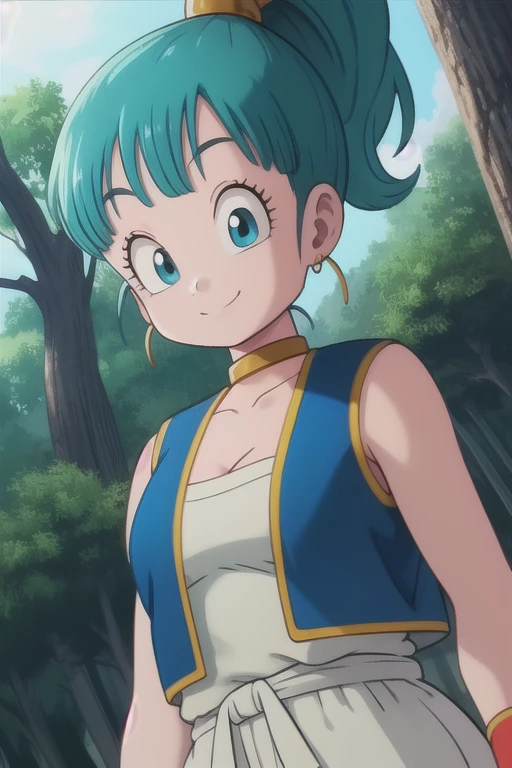 bulma, 1girl, solo, blue eyes, blue hair, aqua hair, bangs, high ponytail, earrings,
arabian clothes, white shirt, blue vest, white pants, baggy pants, red sash, bare shoulders, sleeveless, cleavage, yellow choker, wristband, neck ring,
smile,closed mouth,cowboy shot,upper body,
forest,outdoor,
(insanely detailed, beautiful detailed face, masterpiece, best quality) cinematic lighting,