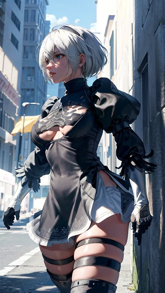 a girl , 2B , (bikini armor)