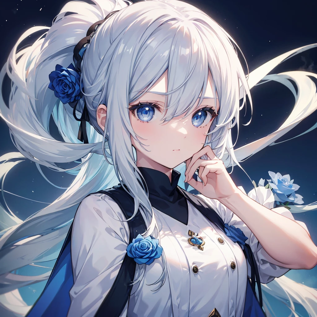 ((((Gray Hair、ponytail、Long Hair　1 person　Blue eyes、Shine　Pure white skin　Smooth skin))))　(((Adult women、slender　Kind Face　With blue roses　Blue and white)))　((Big Moon、night　milky way))　(Shine背景　白くShine縁)