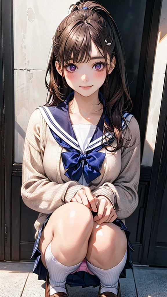 (masterpiece:1.2, Highest quality), (Realistic, photoRealistic:1.4), Beautiful illustrations, (Natural Side Lighting, Cinema Lighting), 
View your viewers, 1 girl, Japanese, Junior high school girl, , Perfect Face, cute and symmetrical face, Glowing Skin, 
(Long Hair, Straight hair, ponytail, Brown Hair), Swept-apart bangs, (Purple hairpins, White hairpin), Purple eyes, Big eyes, Long eyelashes, (Medium chest:0.5), 
Beautiful Hair, Beautiful Face, Beautiful attention to detail, Beautiful clavicle, Beautiful body, Beautiful breasts, Beathighs, Beautiful feet, Beautiful fingers, 
((Detailed cloth texture, (Long sleeve light brown cardigan, Closed Cardigan), white cute sailor suit, Blue pleated skirt, White sailor collar, Blue checked bowtie)), White socks, Pink Panties, loafers
(Bl views), evening, (Downtown), squat, (cute, Cute smile), 