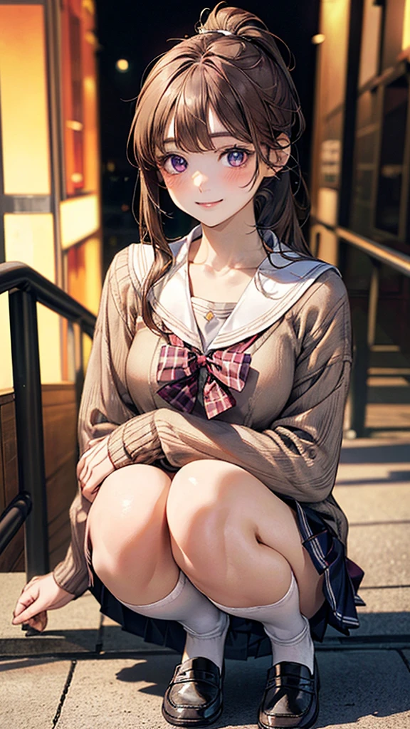 (masterpiece:1.2, Highest quality), (Realistic, photoRealistic:1.4), Beautiful illustrations, (Natural Side Lighting, Cinema Lighting),
View your viewers, 1 girl, Japanese, Junior high school girl, , Perfect Face, cute and symmetrical face, Glowing Skin,
(Long Hair, Straight hair, ponytail, Brown Hair), Swept-apart bangs, (Purple hairpins, White hairpin), Purple eyes, Big eyes, Long eyelashes, (Medium chest:0.5),
Beautiful Hair, Beautiful Face, Beautiful attention to detail, Beautiful clavicle, Beautiful body, Beautiful breasts, Beautiful thighs, Beautiful feet, Beautiful fingers, Number of fingers is 5
((Detailed cloth texture, (Long sleeve light brown cardigan, Sailor suit), white cute sailor suit, Red pleated skirt, White sailor collar, Red checked bowtie)), White socks, Pink Panties, loafers
(Beautiful views), evening, (Downtown), squat, (cute, Cute smile),