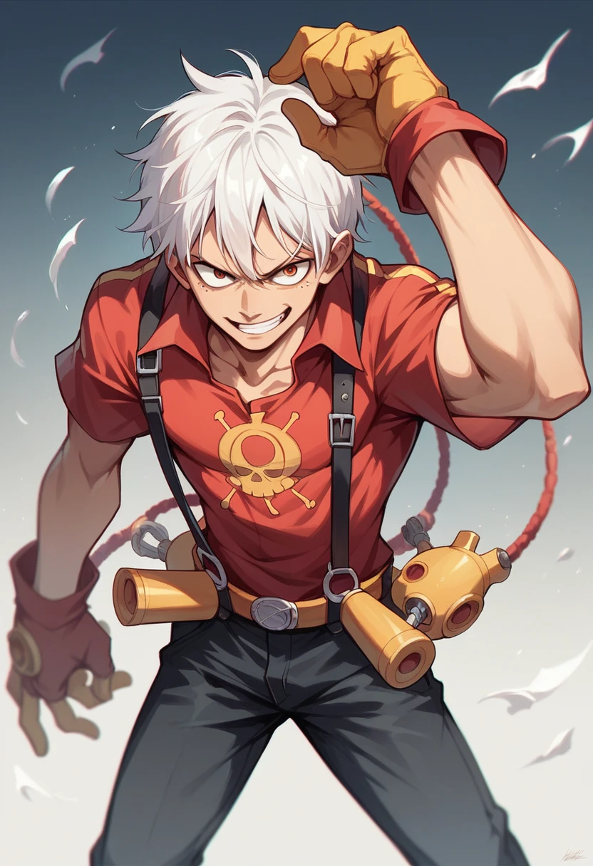 Luffy gear 5 white hair release 
